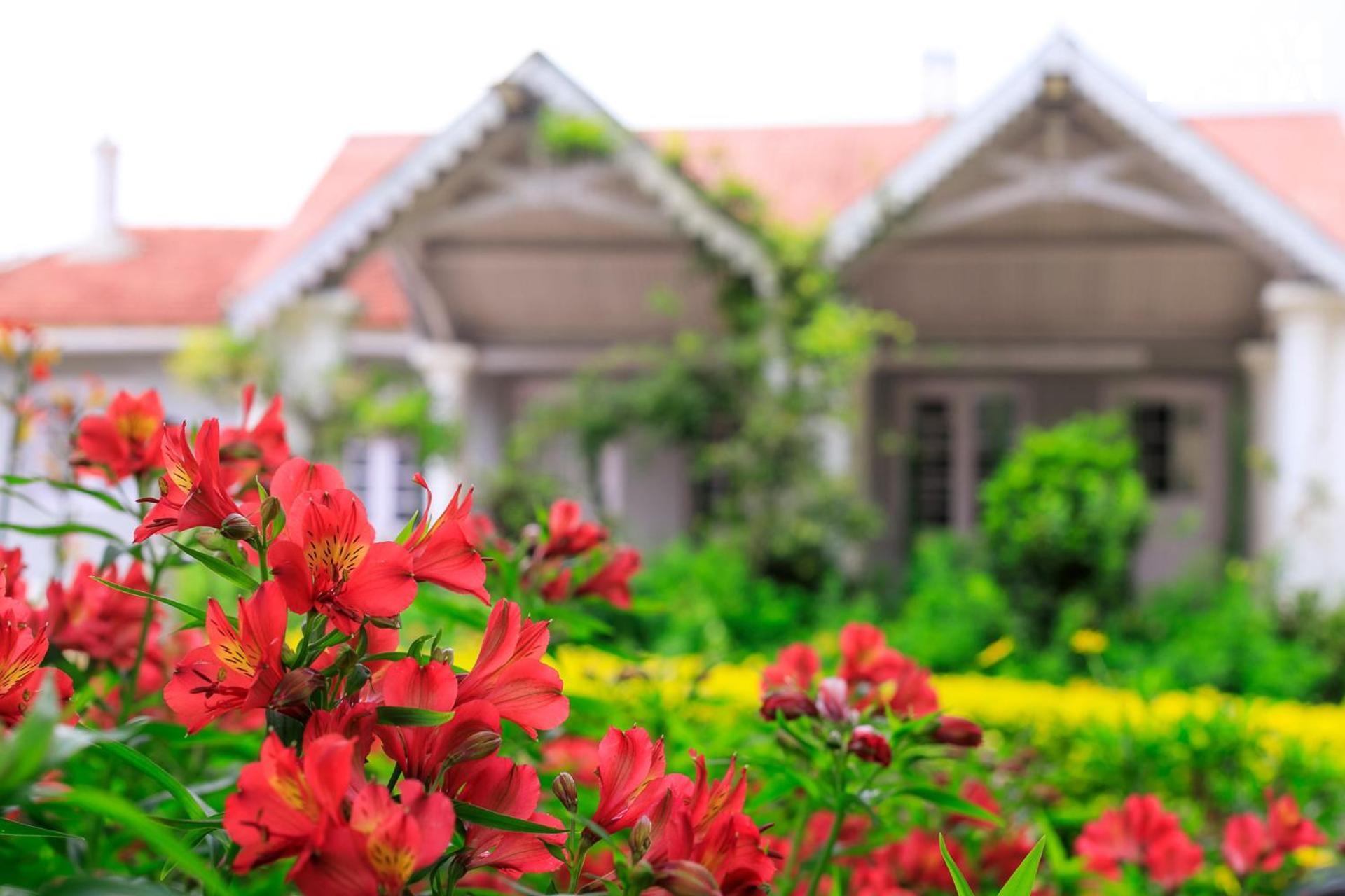 Stayvista At The Alcove With Breakfast & Bbq Grill Ooty Exterior photo